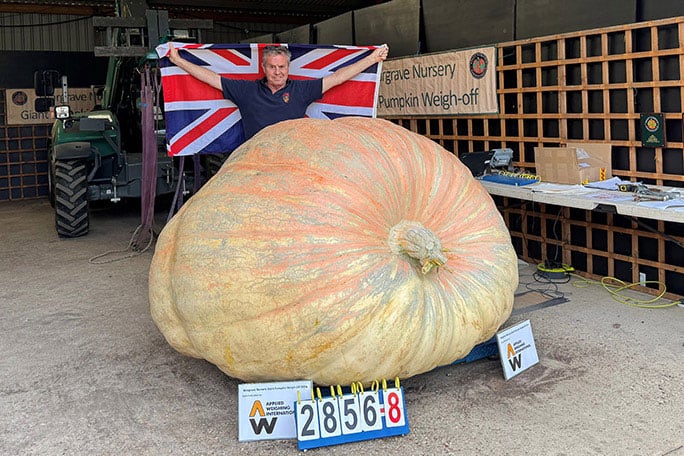 Ian Paton logró un récord Guinness con Bagheera, una calabaza de 1.295,8 kilos (2.856 libras y 12,8 onzas) certificada en Reino Unido (Créditos: Guinness World Records)
