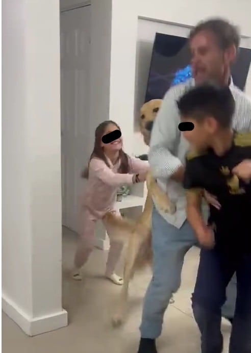 El golden retriever sorprendió al integrarse a la coreografía sin previo aviso.
