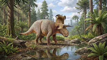 Dinosaurio cuadrúpedo con cuernos en la cabeza cerca de un cuerpo de agua rodeado de helechos y árboles en un bosque.