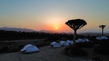 viajeros argentinos en isla Socotra