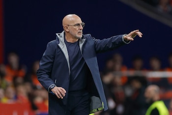 El seleccionador de España, Luis de la Fuente (EFE/Alberto Estévez)