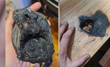 El ratón, conectado por USB