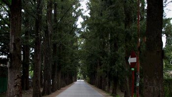 Violenta entradera a una empleada