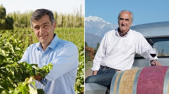 Dos hombres; uno en un viñedo y otro apoyado en un vehículo con una copa de vino y una barrica de madera; montañas nevadas de fondo.