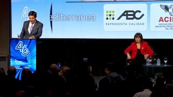 Melconian presentó su plan económico