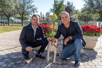 La perrita maratonista recibirá atención