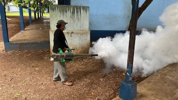 El Ministerio de Salud de Guatemala reporta una caída del 43 % en los casos de dengue
