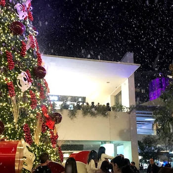 No se esperaba la caída