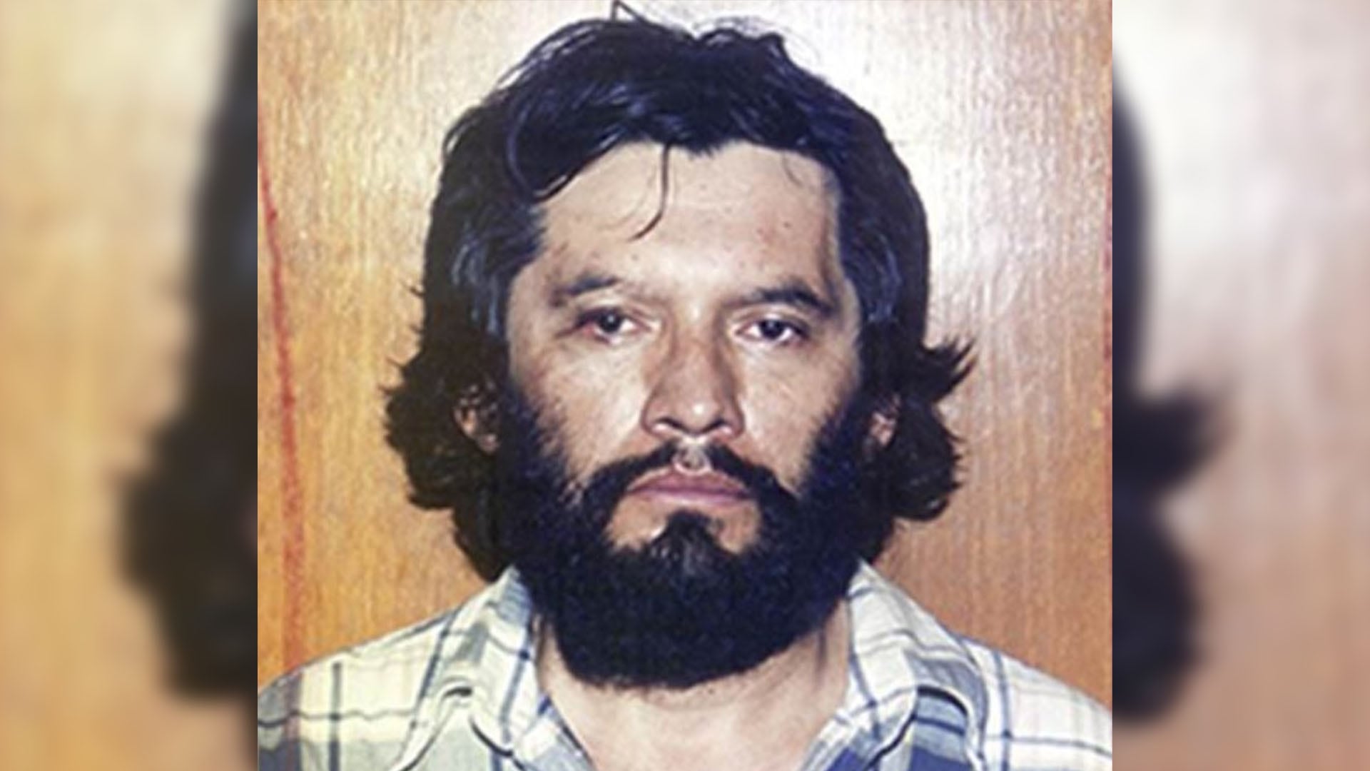 El mochaorejas (Foto: Twitter@StinkerIrlandes)