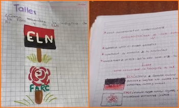 El Instituto Técnico María Inmaculada de Villa del Rosario inició una revisión interna por una tarea que pedía dibujar insignias del ELN y las Farc - crédito captura de pantalla TikTok