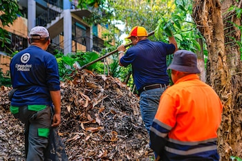 La recolección ininterrumpida de desechos cuenta con 115 rutas y servicios personalizados en los cinco distritos de San Salvador Centro. (Foto cortesía Desechos Sólidos San Salvador)
