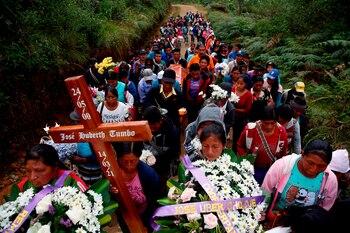 Imagen de referencia - La