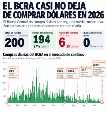 Gráfico de barras sobre compras diarias de dólares del Banco Central argentino, con cifras de ruedas operadas y fechas sin adquisiciones de divisas