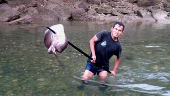 Tito Ochoa Valer, ‘El Tunche