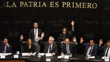 En Comisiones del Senado fue aprobado por unanimidad el dictamen (Foto: Cuartoscuro)