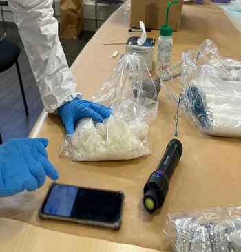 Los implicados en la red