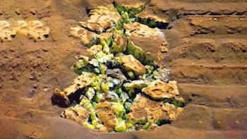 Descubrieron en una roca traída