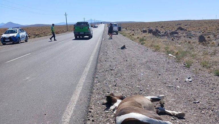 El accidente, confirmado por la policía de Zapala, se produjo frente al monumento al Soldado de Malvinas y generó la obstrucción del tránsito durante varias horas (LM Neuquén)