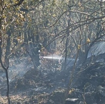 Foto: X: @Bomberos_CDMX