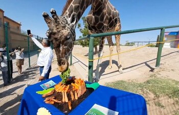 Así celebró Modesto sus 20