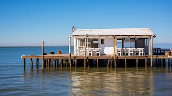 El estudio analizó 385 publicaciones