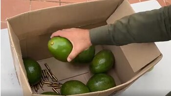 En la caja que transportaba