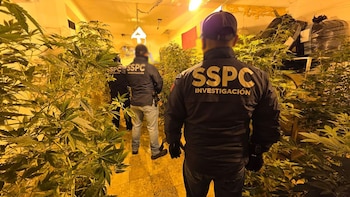 Cateos simultáneos en tres alcaldías