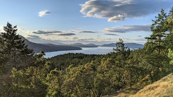 Vista panorámica de un extenso cuerpo de agua rodeado de bosques de coníferas y montañas. El cielo azul tiene nubes blancas y grises. Árboles verdes en primer plano