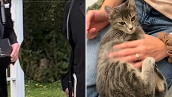 En esta zona fue donde