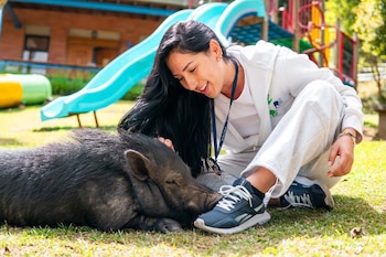 Profesionales del Centro de Bienestar Animal brindaron atención veterinaria y acompañamiento a Julio durante su proceso de recuperación antes de su adopción - crédito Alcaldía de Medellín