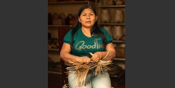 La estrategia pretende darle luz