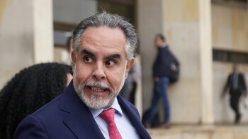 Armando Benedetti justificó el multimillonario