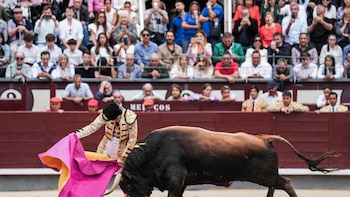 Suspenden corrida de toros en en la Monumental Vicente Segura de Pachuca, ciudadanos piden su reincorporación