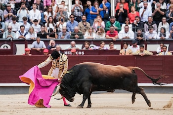 Activistas a favor de la defensa de los animales celebraron la noticia. (EFE/Borja Sánchez-Trillo)