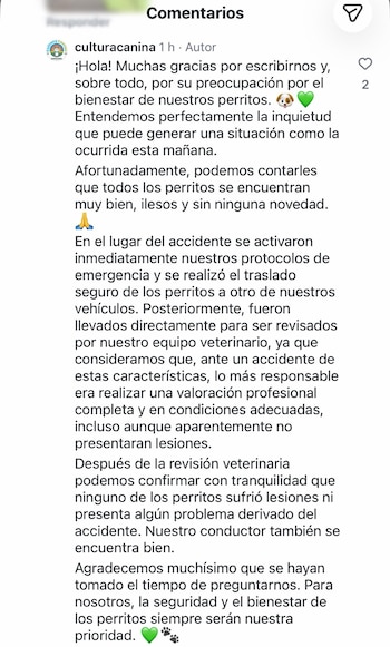 Una testigo afirma que 12 perros viajaban en el furgón y que fueron retirados sin valoración veterinaria en el sitio - crédito redes sociales