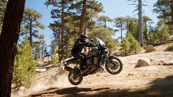 La Harley Pan America, uno