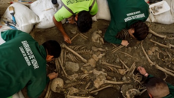 Hasta 195 víctimas de la