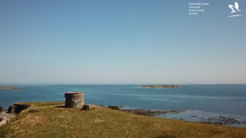 Productos como el trigo espelta