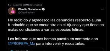 La jefa de gobierno de