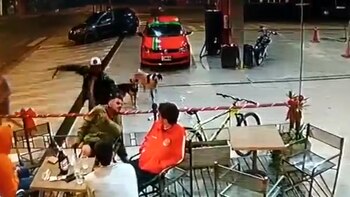 Pánico en un lavadero de