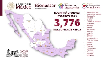 La Pensión Bienestar para Personas con Discapacidad es un programa social de alcance nacional respaldado por el Artículo 4 de la Constitución, el cual obliga al Estado a garantizar una pensión no contributiva a personas con discapacidad permanente menores de 65 años