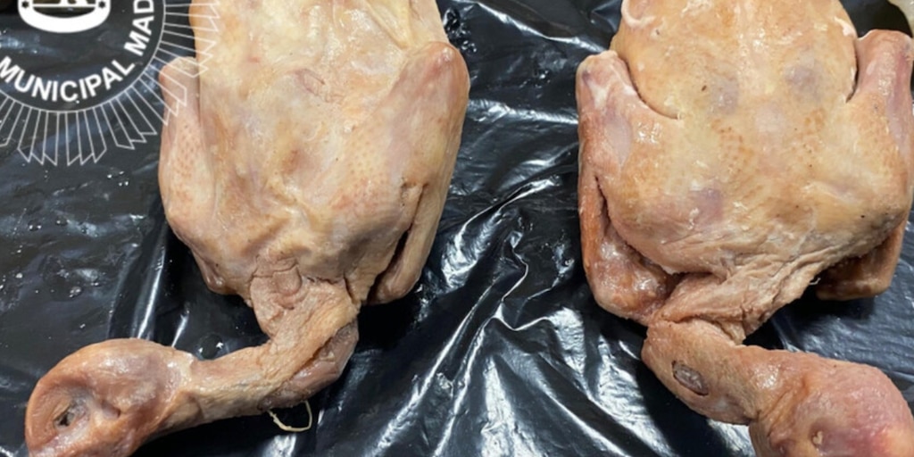 Mataban a palomas a patadas y lo servían como pato laqueado: el restaurante del terror en Madrid que ha sido clausurado - Infobae