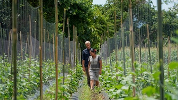 El Salvador refuerza cooperación con el Programa Mundial de Alimentos en beneficio de la seguridad alimentaria