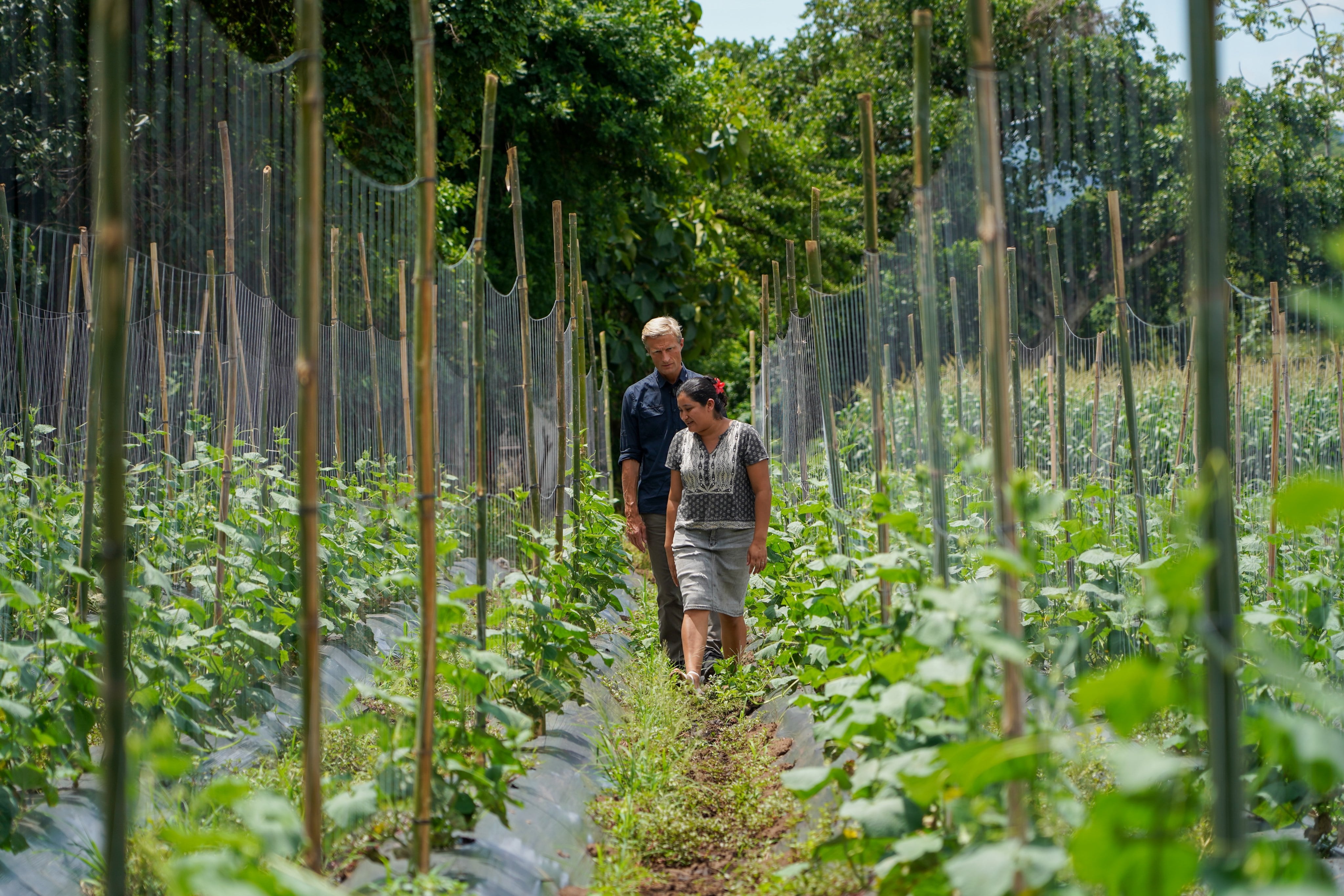 El Salvador refuerza cooperación con el Programa Mundial de Alimentos en beneficio de la seguridad alimentaria