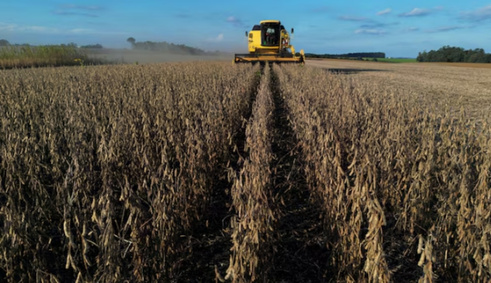 Rentabilidad en jaque: cómo los costos y precios comprometen el negocio agrícola
