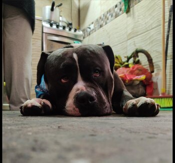 Los vecinos que conocen a