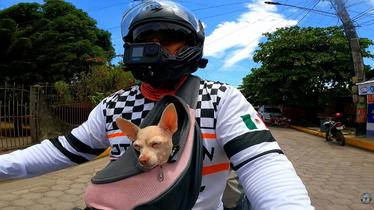 Tres motociclistas mexicanos del canal MotoCancun documentaron sus complicaciones para salir de Nicaragua junto a su mascota. (Imagen retomada de YouTube)