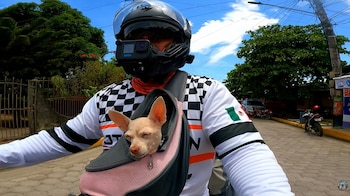 Tres motociclistas mexicanos del canal MotoCancun documentaron sus complicaciones para salir de Nicaragua junto a su mascota. (Imagen retomada de YouTube)