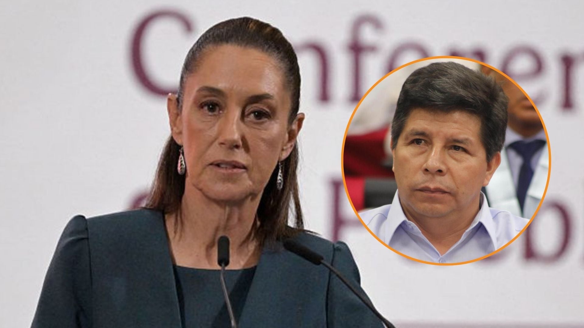 Elmer Schialer criticó públicamente las recientes declaraciones de la presidenta de México, Claudia Sheinbaum, referidas a la situación judicial de Pedro Castillo