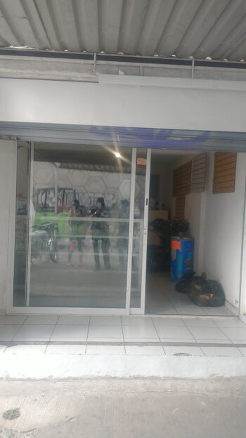 Los cuerpos de tres perros